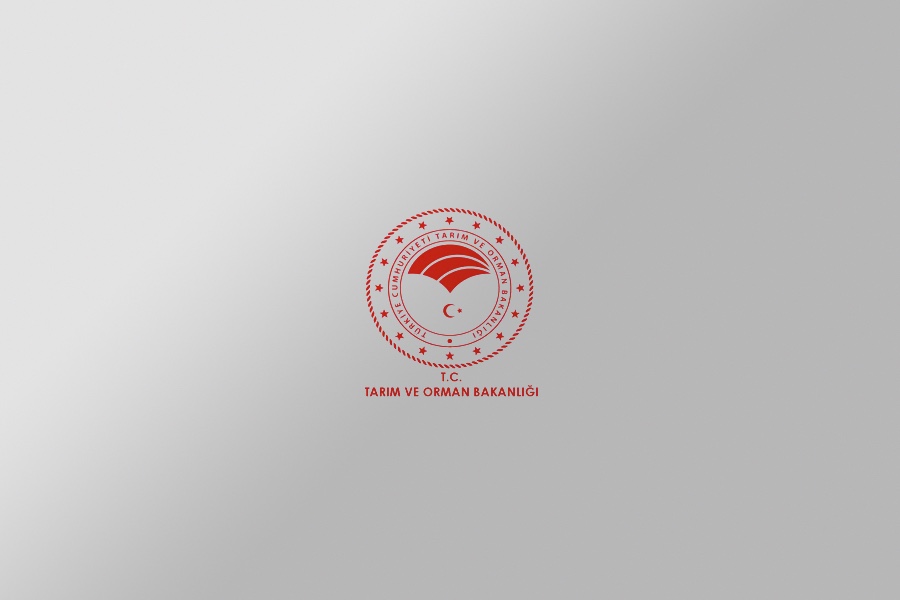 Tarım ve Orman Bakanlığı Destekleri Hakkında Bilmeniz Gerekenler